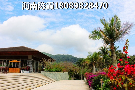 安居合城醉新消息